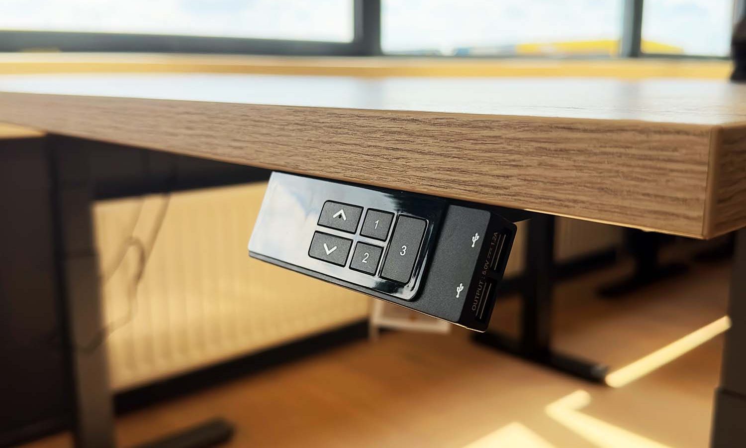 Handset von elektrischen Schreibtisch mit zwei Usb Eingängen Pro+